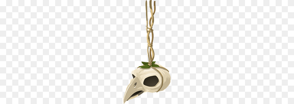 Skull Animal, Beak, Bird, Accessories Png Image