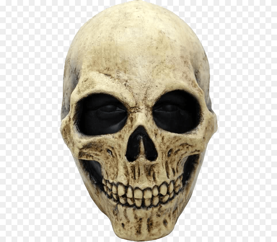 Skull, Person, Face, Head Free Transparent Png