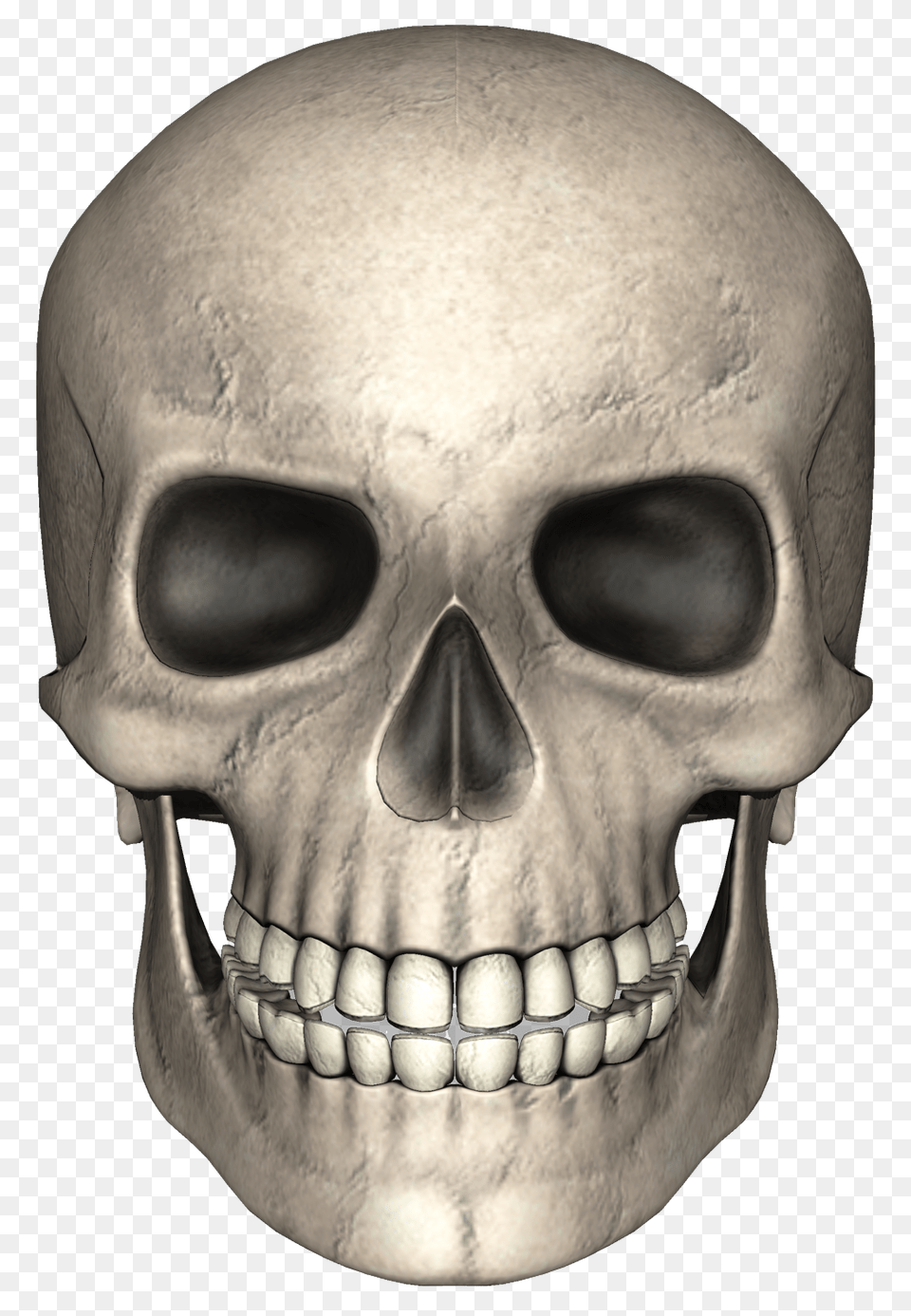 Skull, Person, Head, Face, Body Part Free Png Download