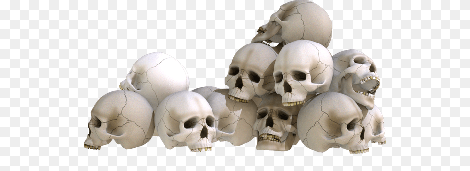 Skull, Head, Person Free Png