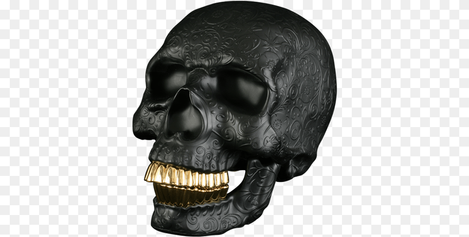 Skull, Adult, Male, Man, Person Free Png