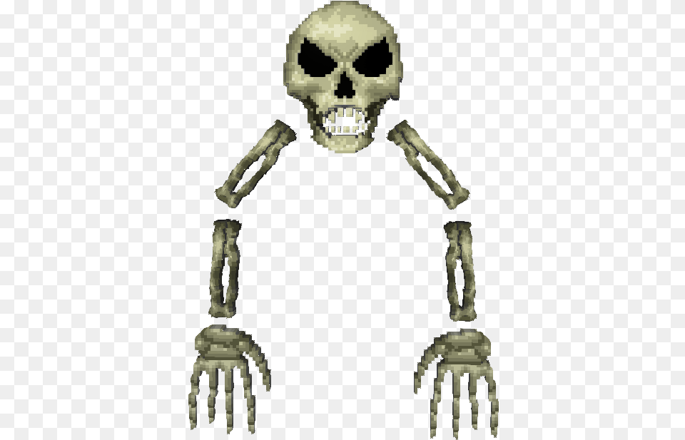 Skull, Person, Face, Head Free Png