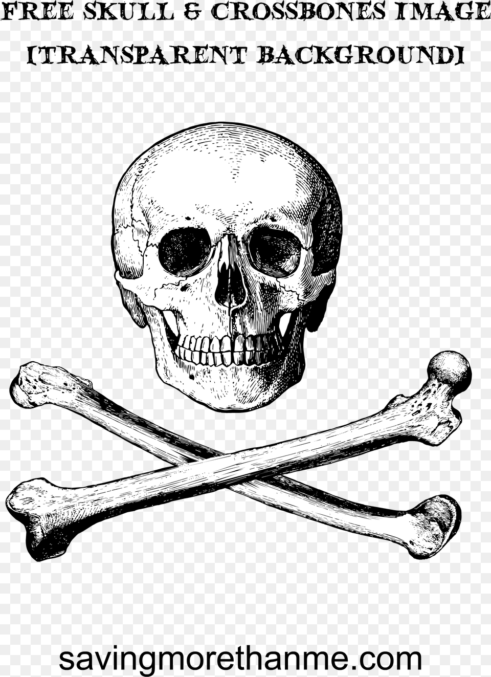 Skull, Face, Head, Person, Skeleton Free Png Download