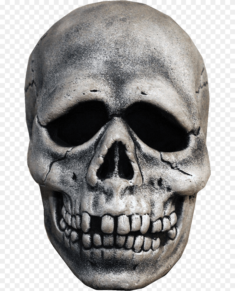 Skull, Person, Face, Head Png