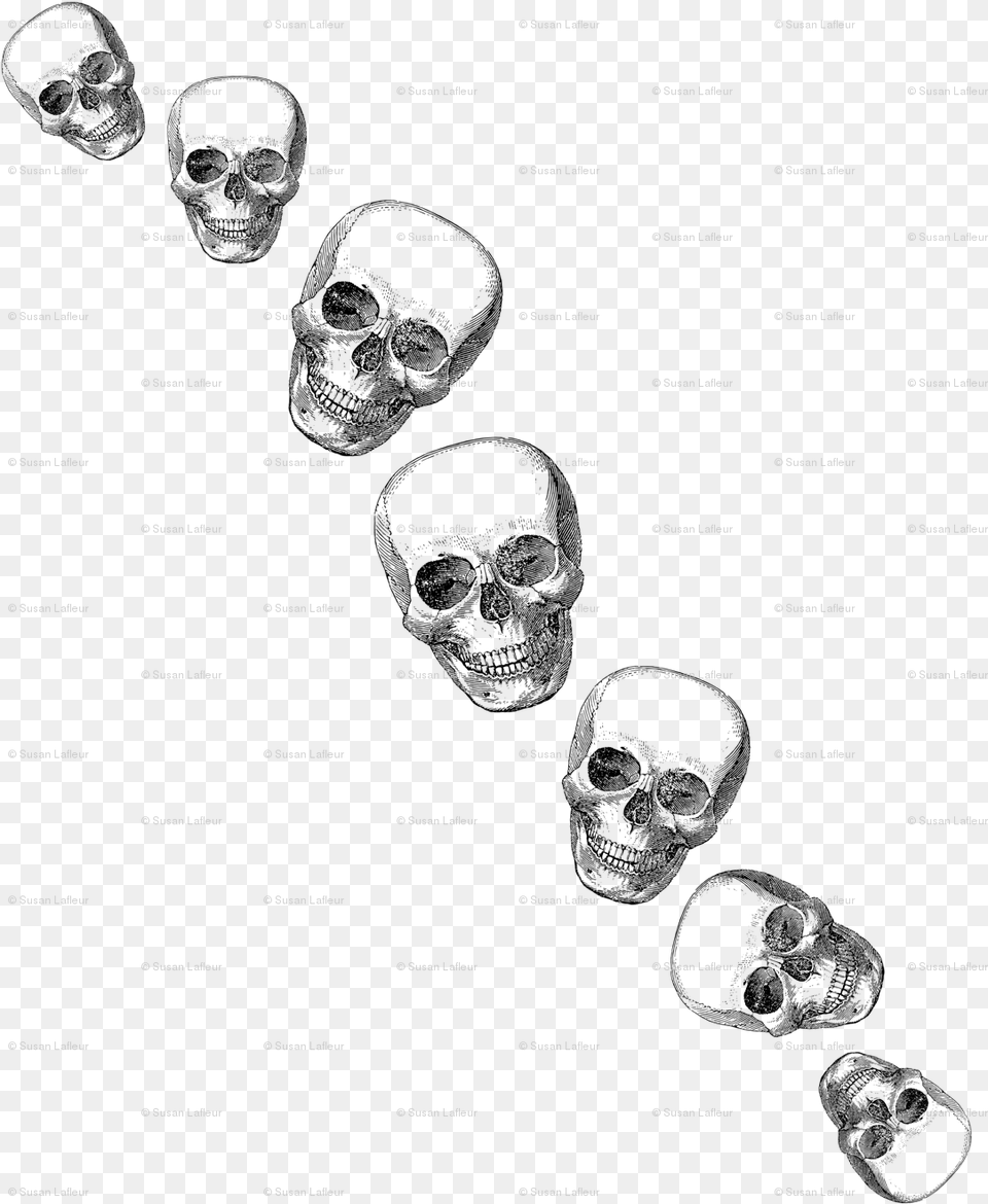 Skull, Texture, Text Free Png Download