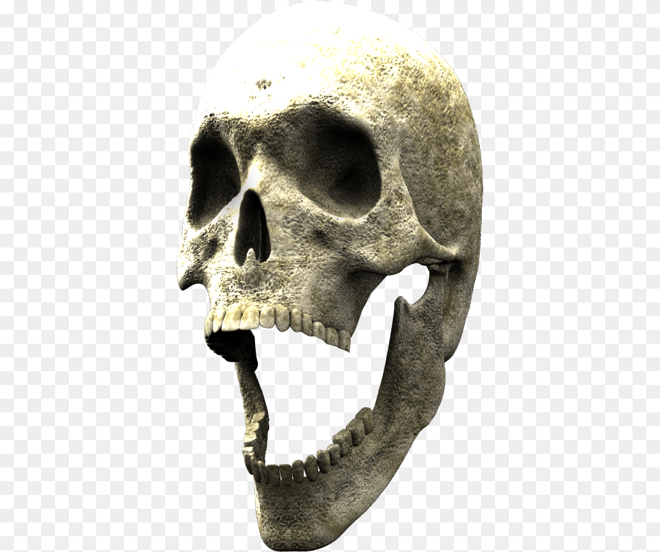 Skull, Person Free Png