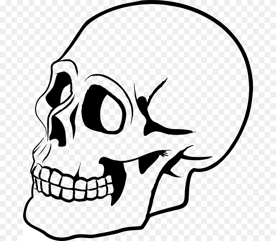 Skull, Stencil, Animal, Bird, Art Free Png