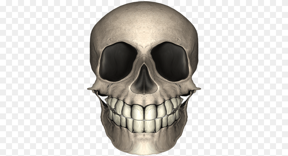 Skull, Body Part, Mouth, Person, Teeth Png