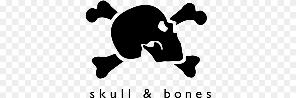 Skull Amp Bones Skull And Bones, Gray Png