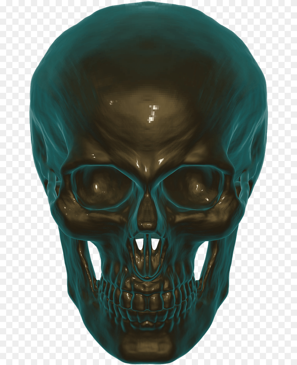 Skull Anatomy Skull And Crossbones Human Head Skull, Person, Alien, Face Png
