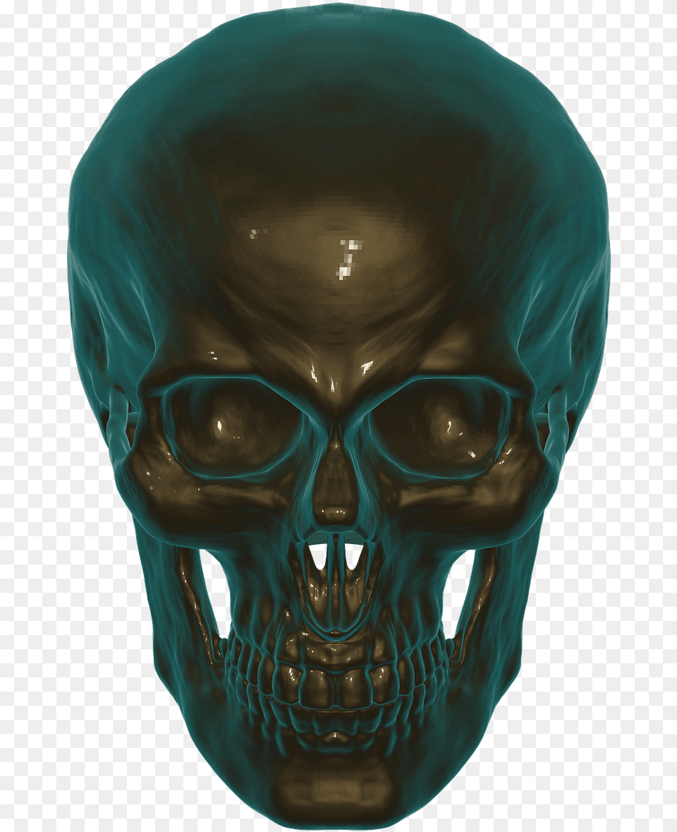 Skull Anatomy Skull And Crossbones Photo 3d Human Skull, Person, Alien, Head, Face Png