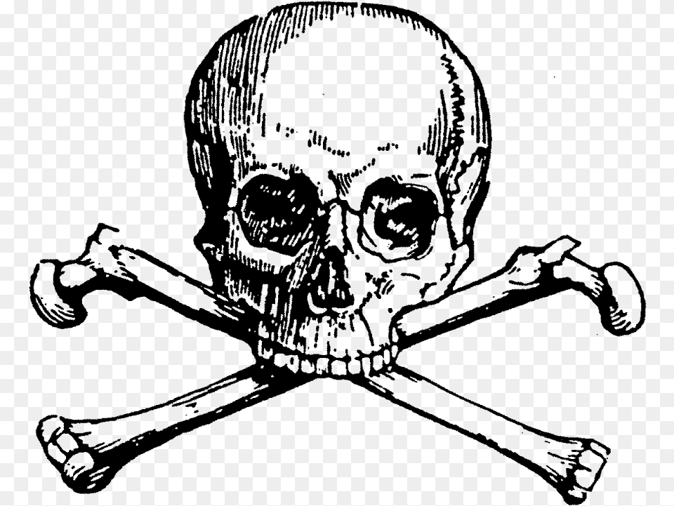 Skull And Bones, Gray Free Transparent Png