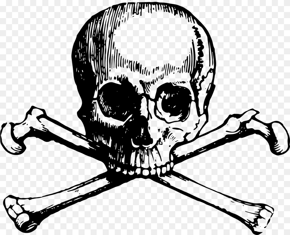 Skull And Bones, Gray Free Png