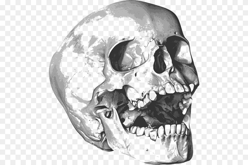 Skull And Bones, Ct Scan, Accessories, Jewelry, Gemstone Free Png Download