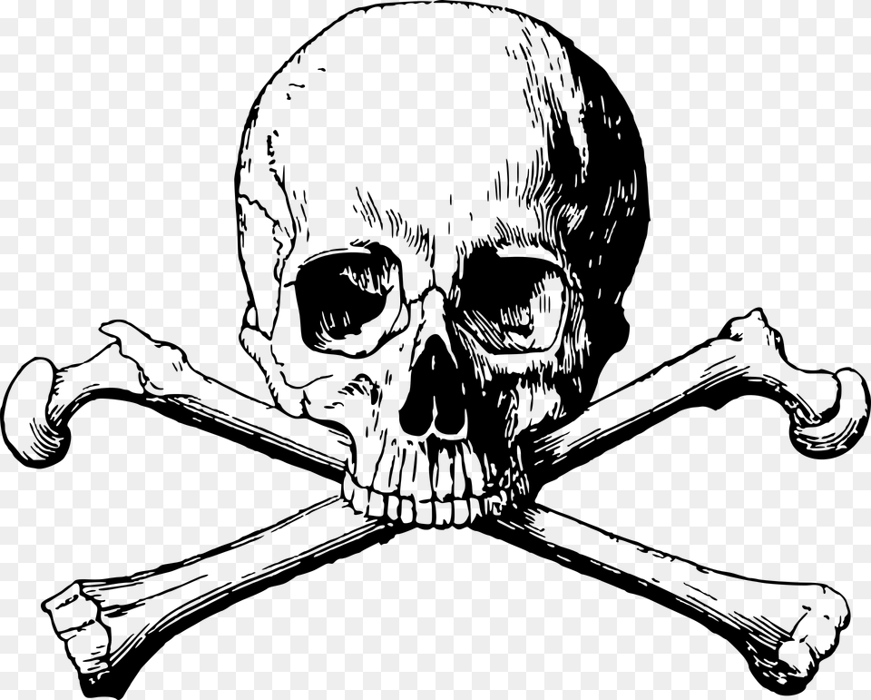 Skull And Bones Transparent, Gray Png