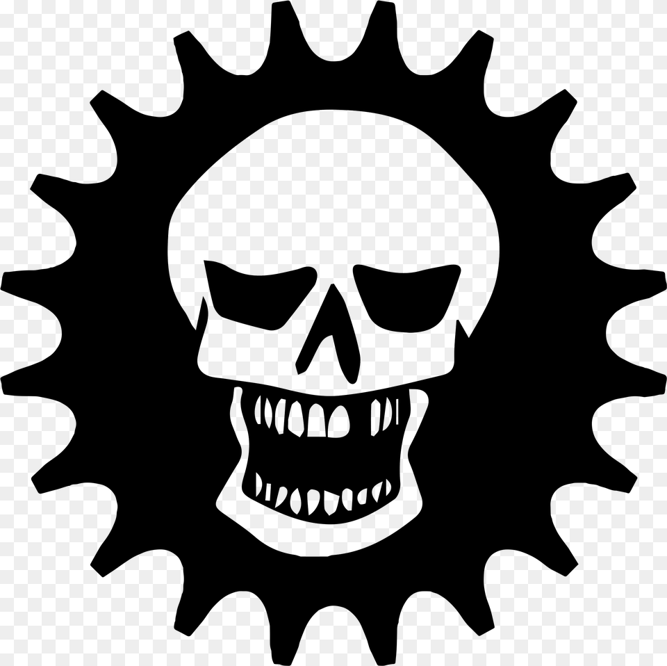 Skull And Cog Fsa Direct Mount Chainring, Gray Free Png
