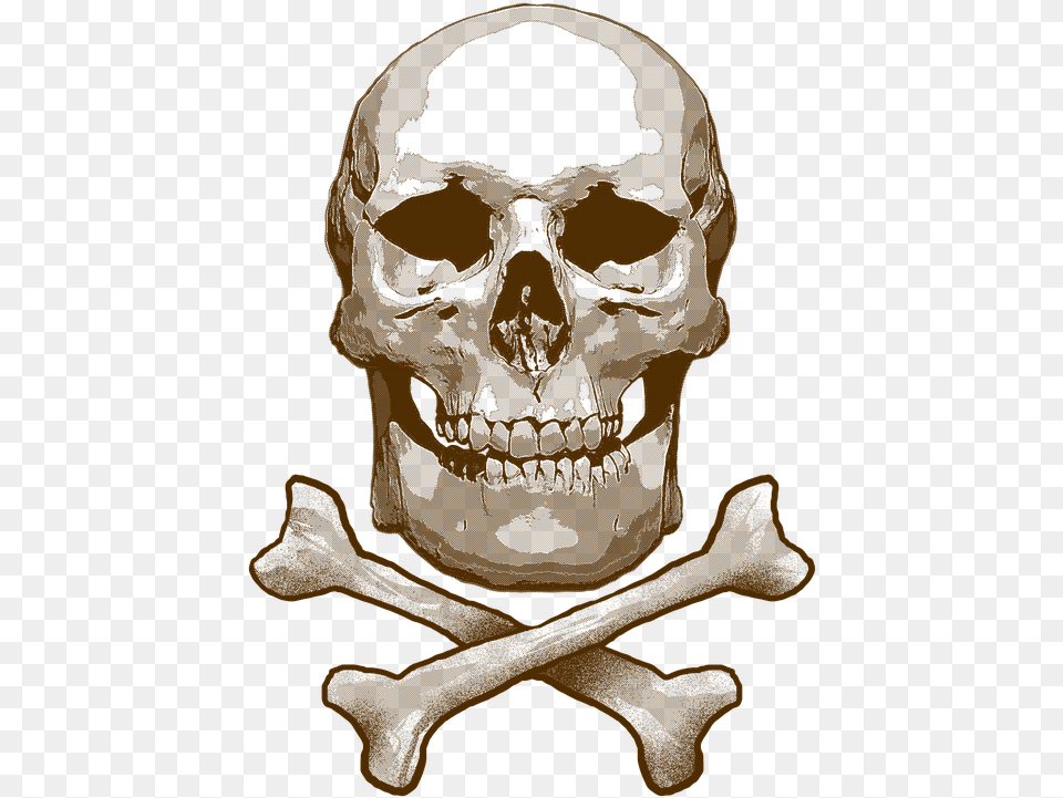 Skull And Cross Bones Skull Toxic Bones Skeleton Skull, Person, Face, Head Png