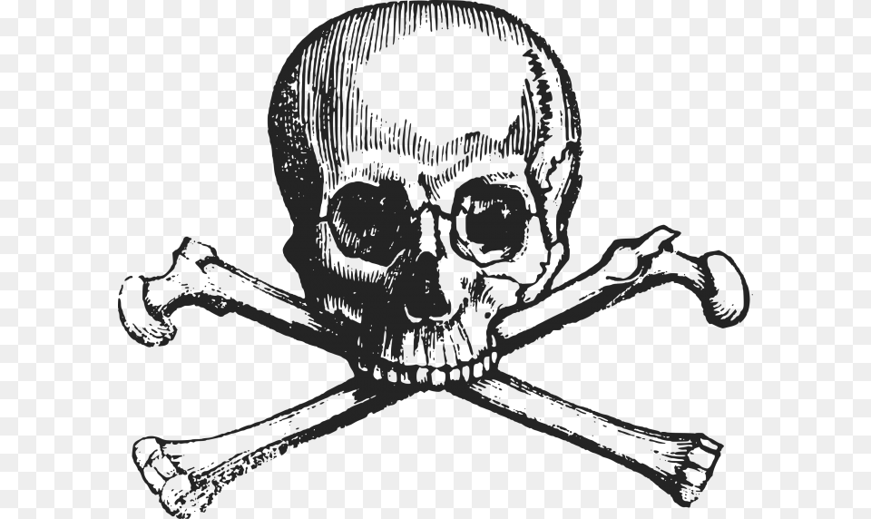 Skull And Crossbones, Adult, Bride, Female, Person Free Png