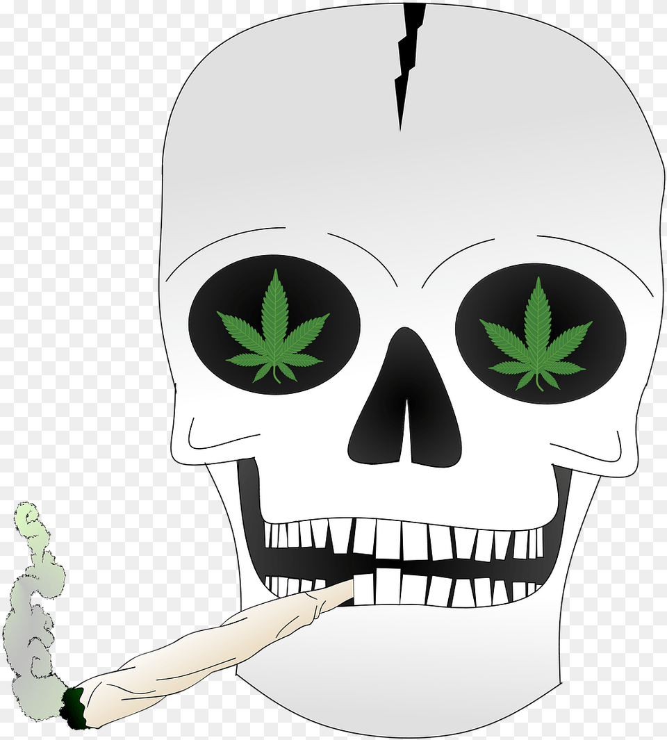 Skull And Crossbones, Plant, Leaf, Stencil, Adult Free Png Download