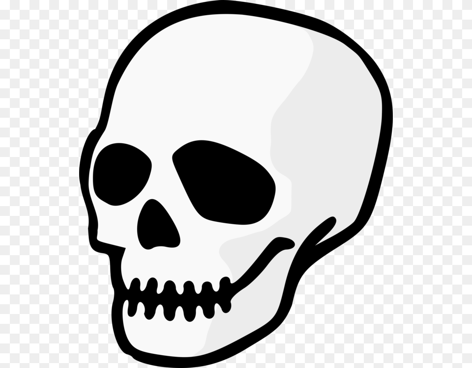 Skull And Crossbones Download Human Skeleton, Stencil Free Transparent Png