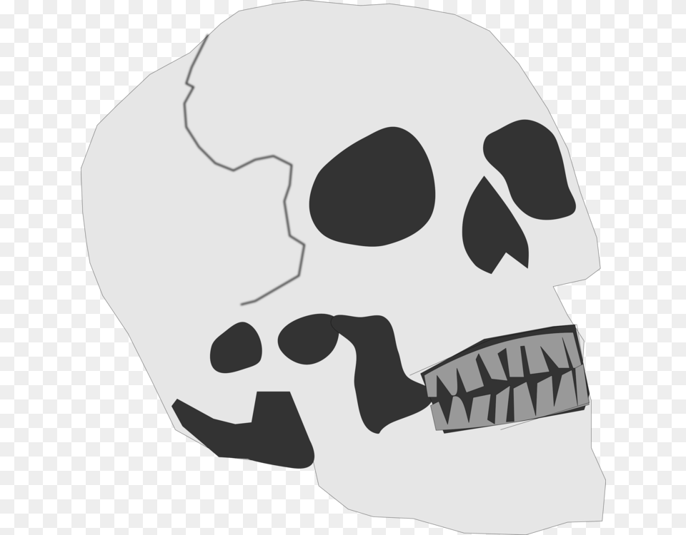 Skull And Crossbones Human Skeleton Clipart Skull Head Small, Stencil, Baby, Person Free Png