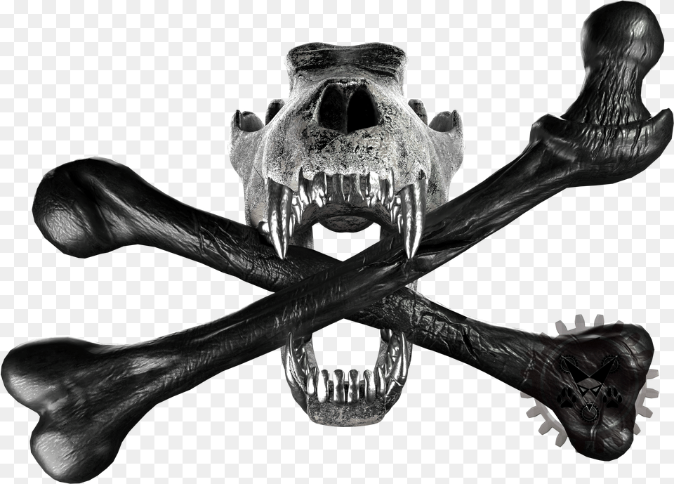 Skull And Crossbones Skull And Bones Arctic Wolf Black Wolf Skull And Crossbones, Person Free Png