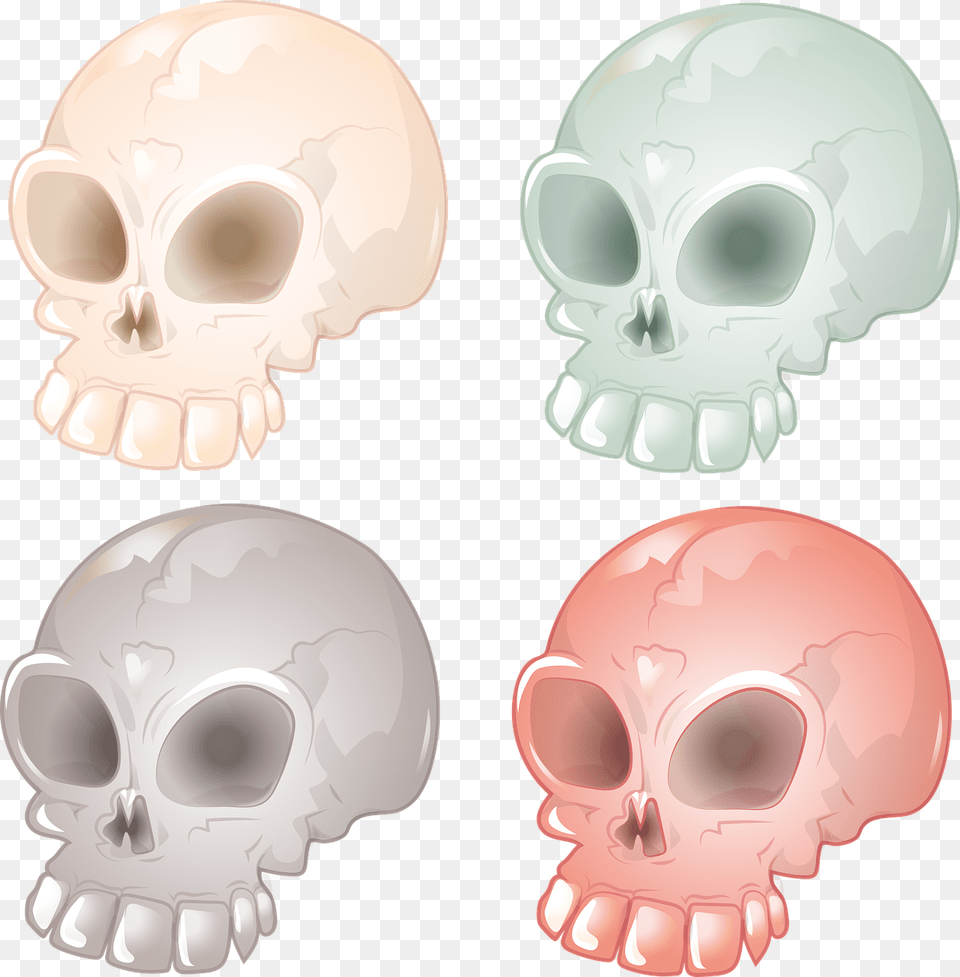 Skull And Crossbones Skull Bone Photo Skull, Head, Person Free Transparent Png