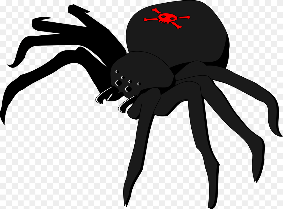 Skull And Crossbones Spider, Animal, Invertebrate, Person Free Png