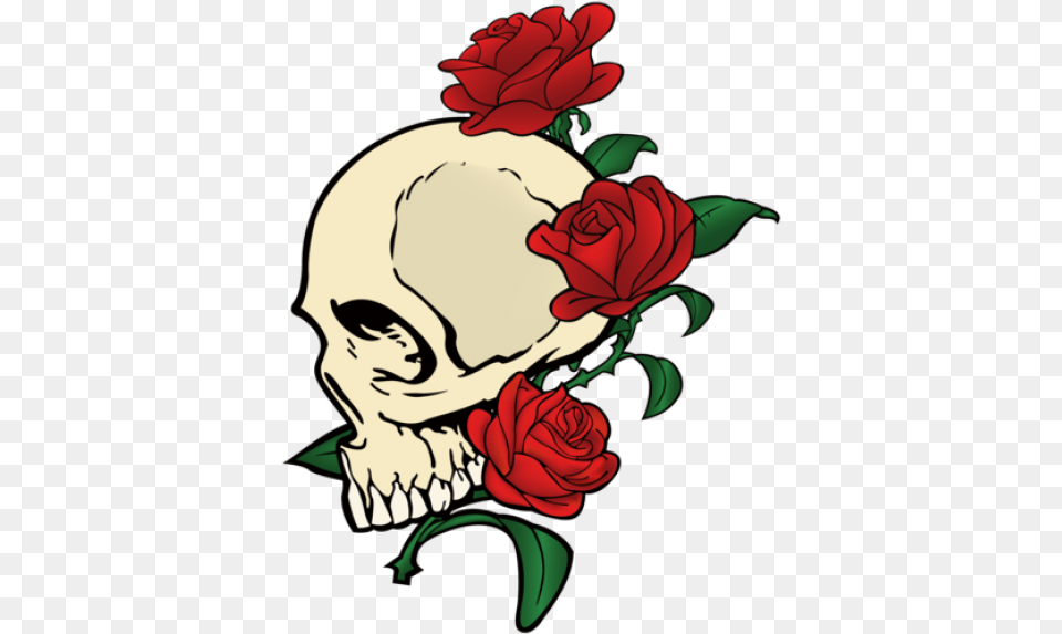 Skull And Rose, Art, Flower, Graphics, Plant Png
