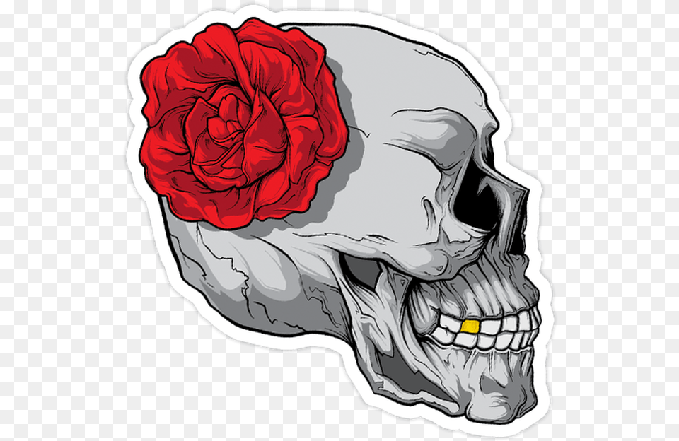 Skull And Rose Die Cut Sticker Skull, Flower, Plant, Art, Drawing Free Png Download