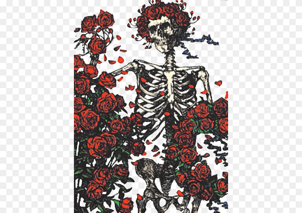 Skull And Roses Grateful Dead Bertha Skeleton, Graphics, Art, Floral Design, Pattern Free Png