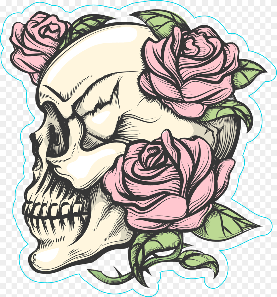 Skull And Roses Skull And Roses Drawings, Art, Plant, Graphics, Flower Png