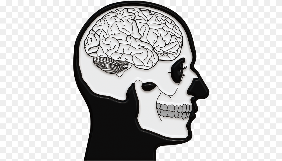 Skull And Skull With Brain Drawing, Head, Person, Face, Body Part Free Png