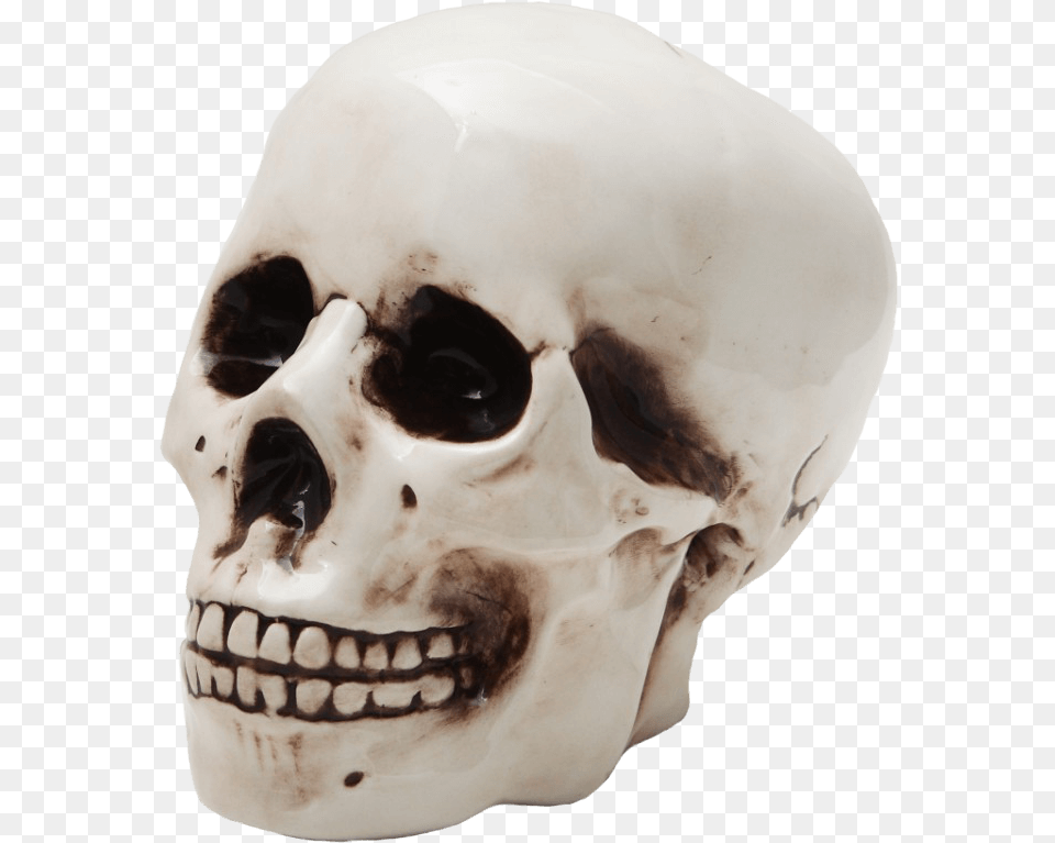 Skull Bank Piggy Bank, Head, Person, Face Png