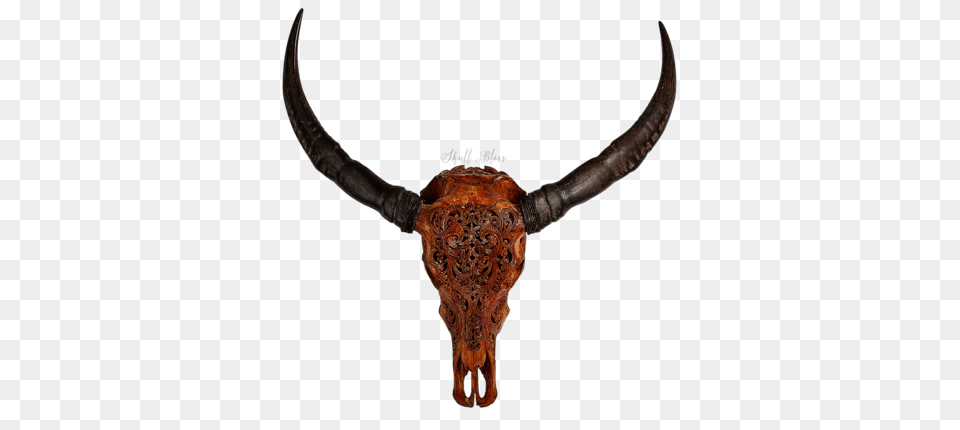 Skull Bliss Buffalo Skulls Worldwide Delivery, Animal, Bull, Mammal, Cattle Free Png Download