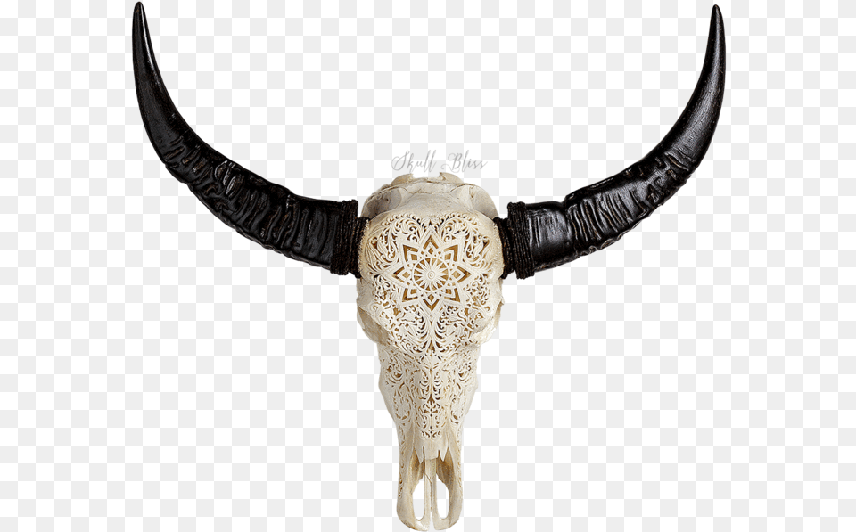 Skull Bliss Reviews, Accessories, Necklace, Jewelry, Animal Png Image