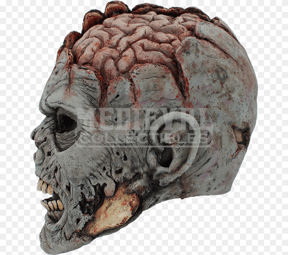 Skull Brain Mask Head Grey Matter Zombie Head, Accessories, Ornament, Person, Alien Png Image