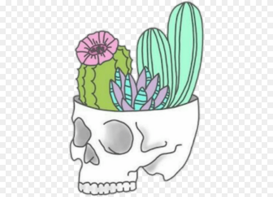Skull Cactus Tumblr Skull With Cactus Cactus Tumblr, Plant, Baby, Person Free Png