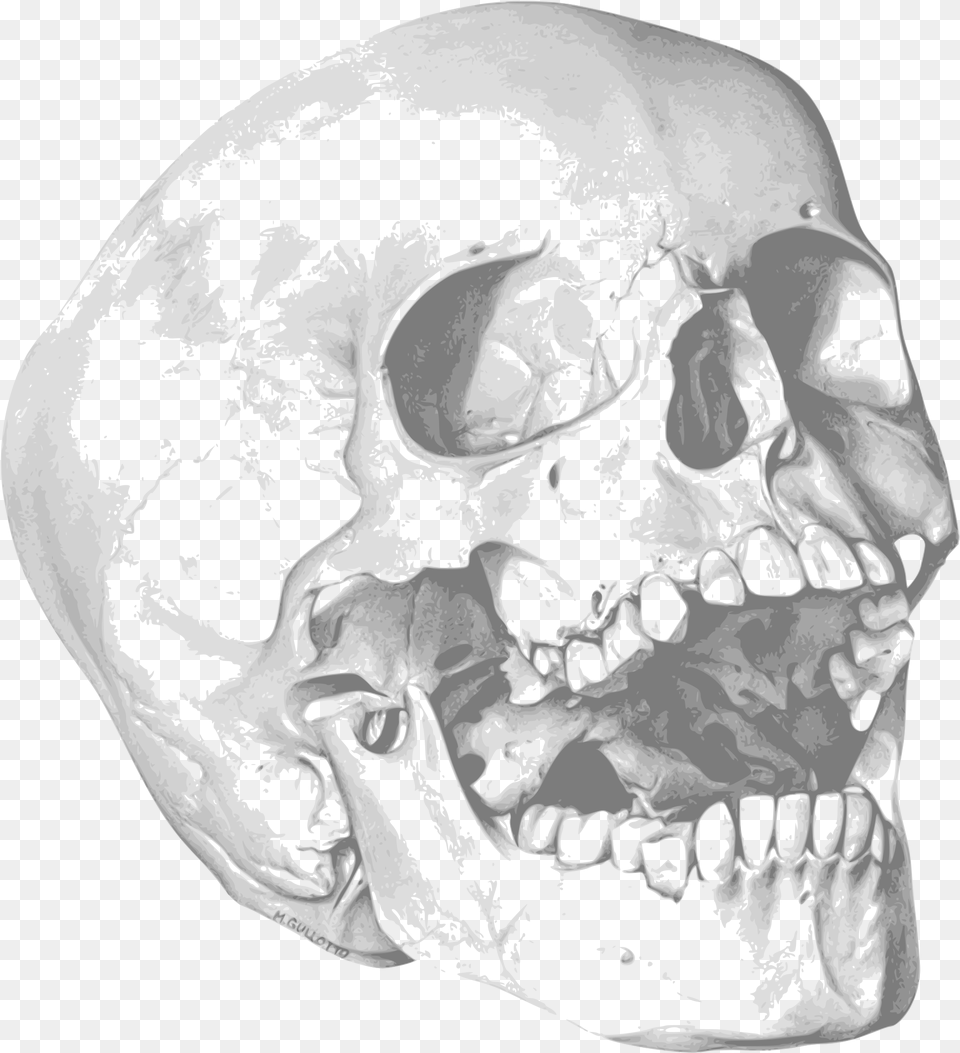 Skull Clip Arts Skull Halloween Party Invitation, Ct Scan, Person, Adult, Man Free Png Download