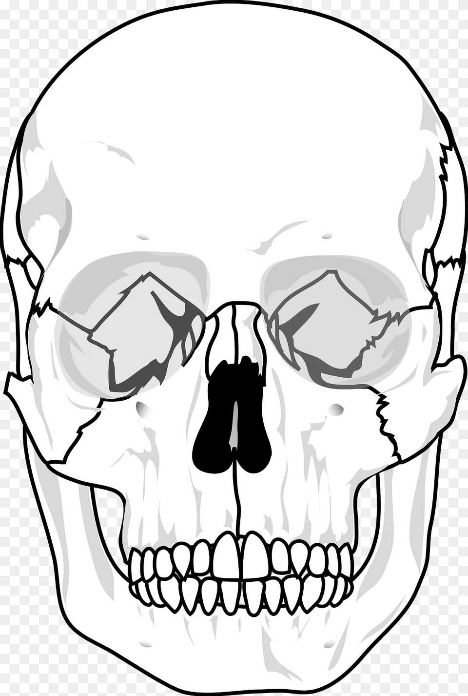 Skull Clipart, Person, Head, Face Free Transparent Png