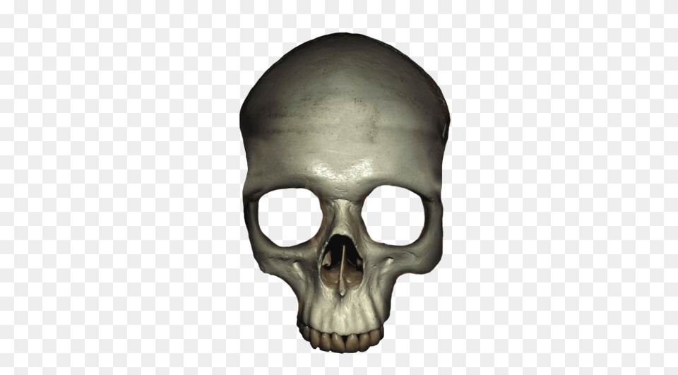 Skull Clipart, Head, Person, Face Free Transparent Png