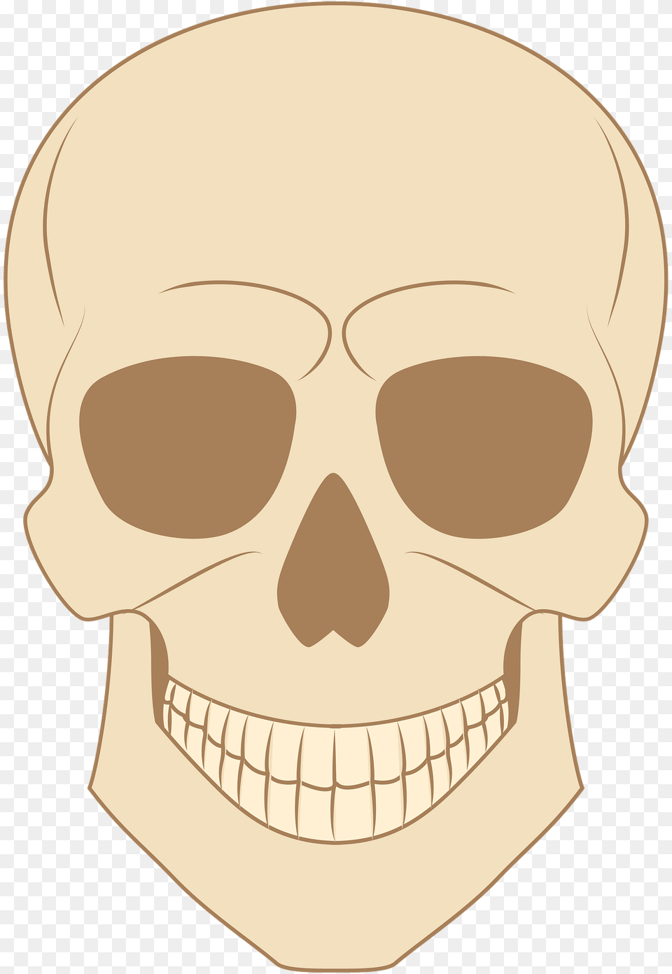 Skull Clipart, Teeth, Body Part, Person, Mouth Free Png