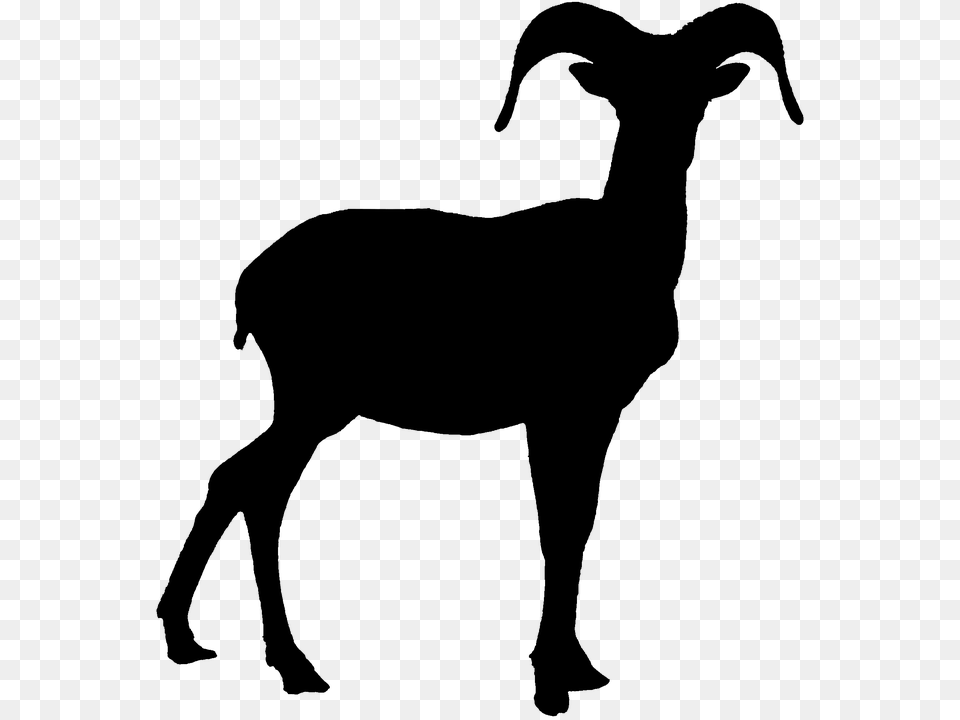 Skull Clipart Bighorn Sheep For Download And Use Bighorn Sheep Black And White, Gray Png Image