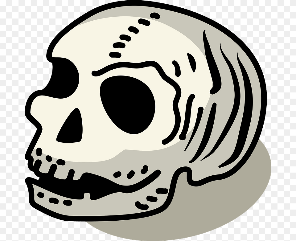 Skull Clipart Cc0 Bones, Baby, Person Free Png Download