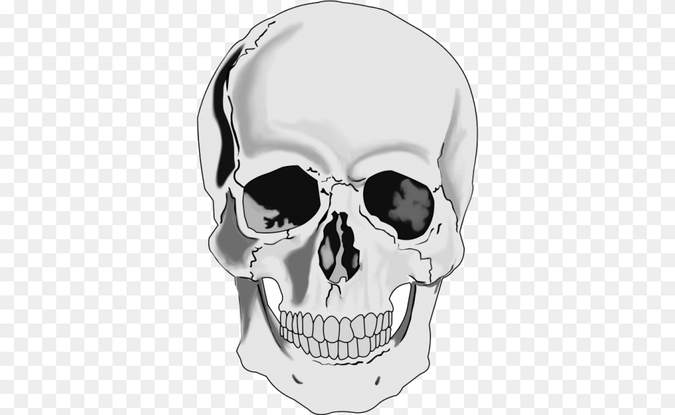 Skull Clipart Download Clip Art, Adult, Male, Man, Person Png