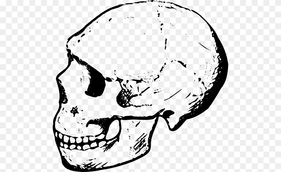 Skull Cliparts, Gray Free Png