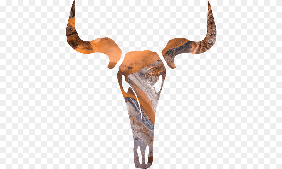 Skull Deer, Male, Adult, Person, Man Free Png Download