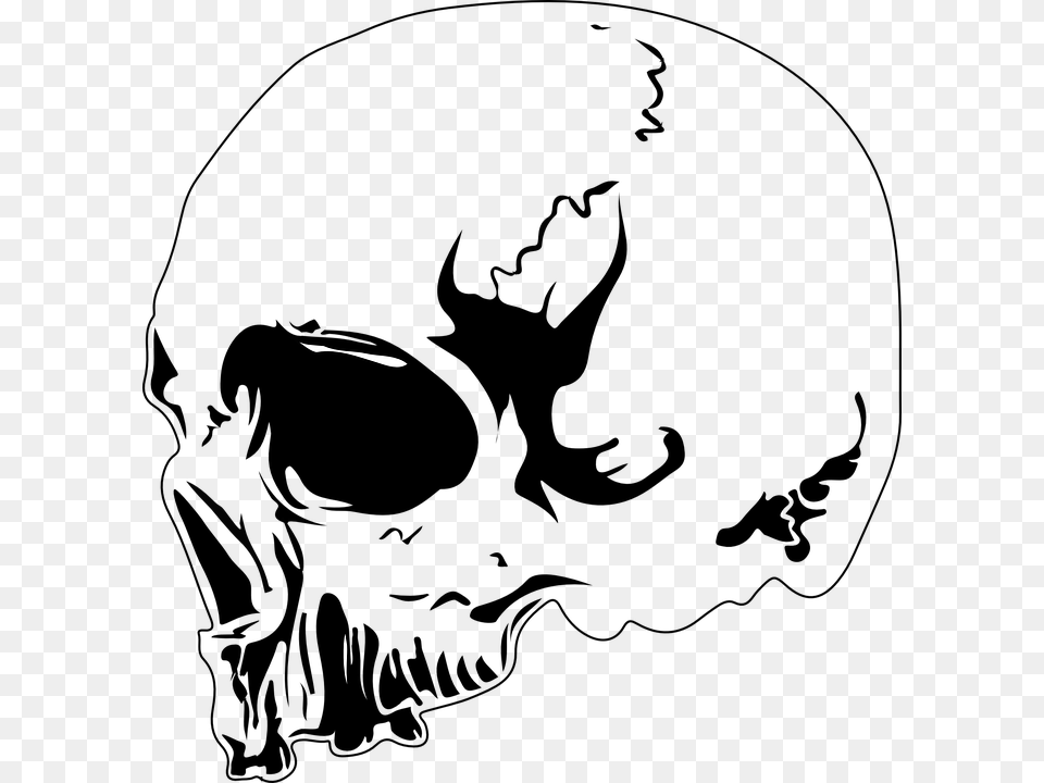Skull Design Tattoo Skeleton Death Dead Head Risunok Cherep Na Chernom Fone, Lighting, Silhouette, Flare, Light Png Image