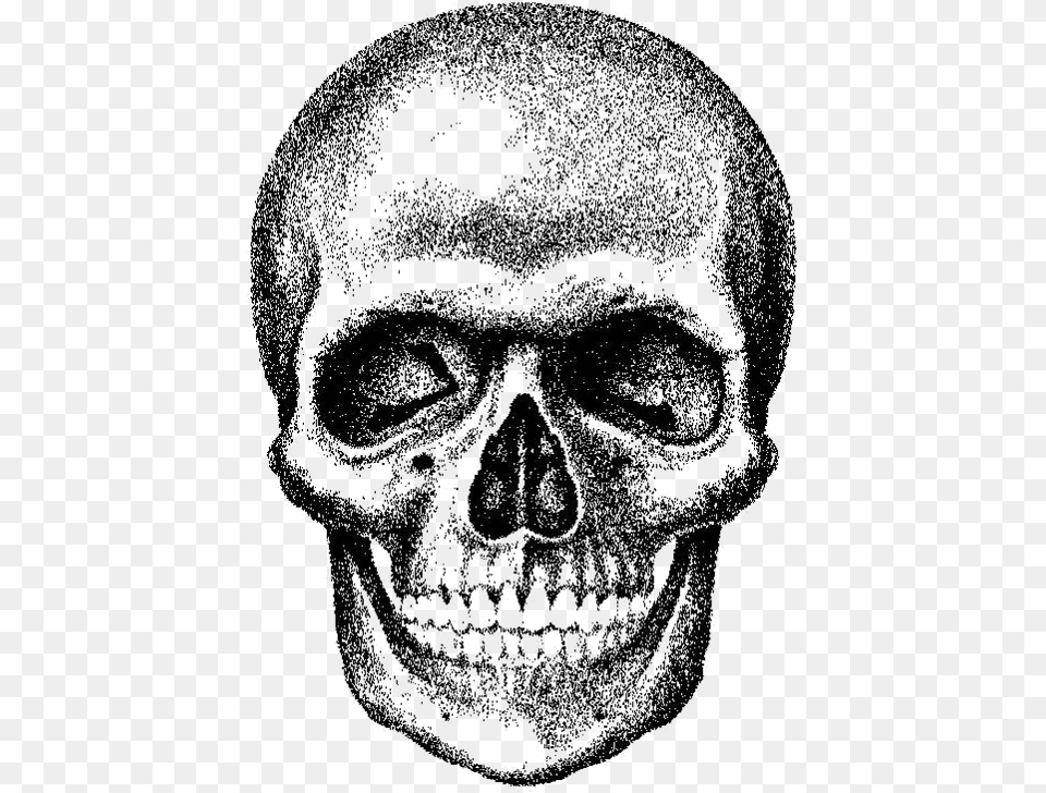 Skull Royalty Skull, Head, Face, Portrait, Photography Free Png Download