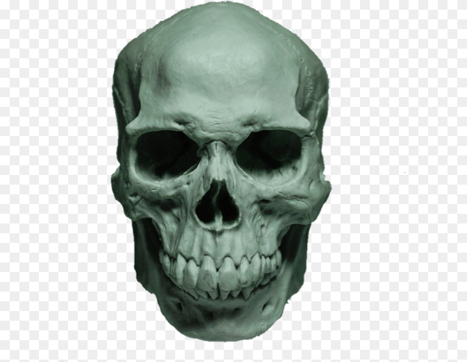 Skull Face Skullhead Skullface Bone Eyes Nose Caveira Skull, Head, Person Png